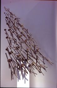 Bruchwald 2002, Bronze, 105 cm